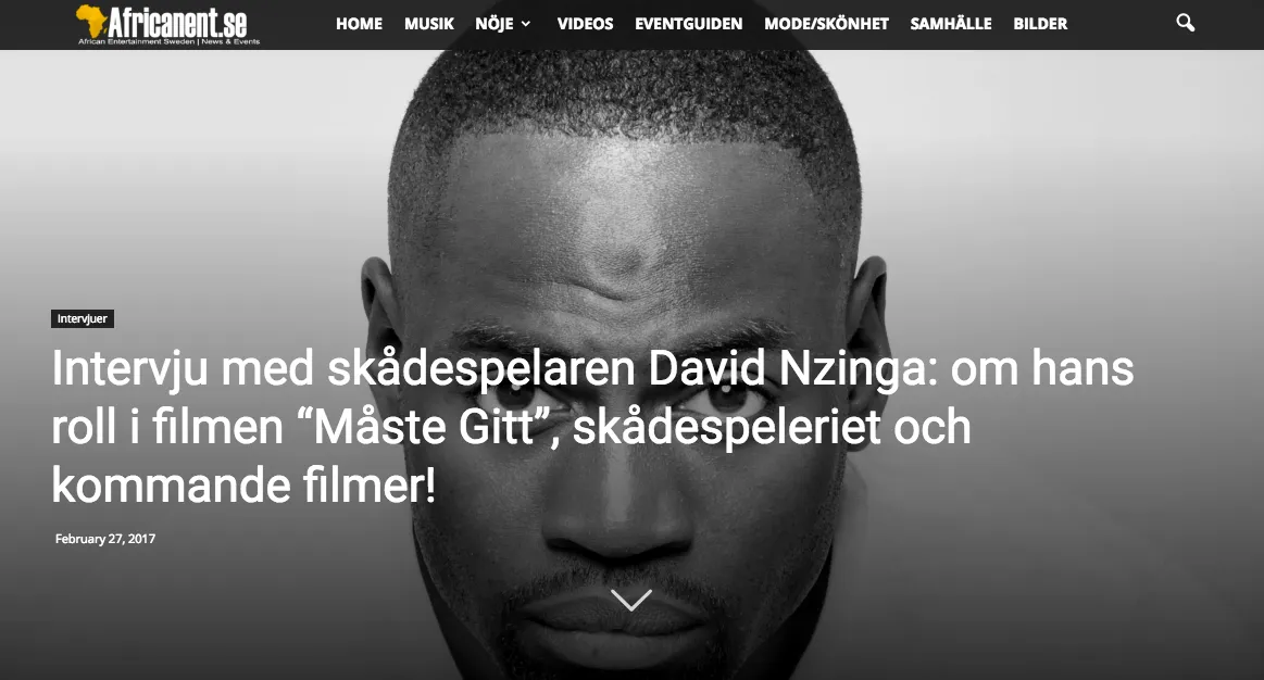 African Entertainment Sweden
