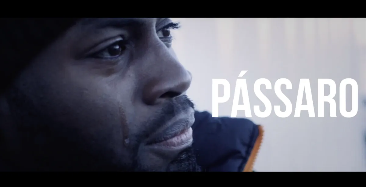 Pássaro — Trailer