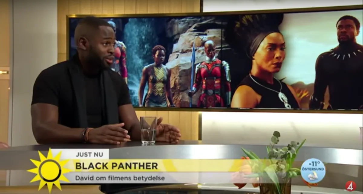 Black Panthers genomslag